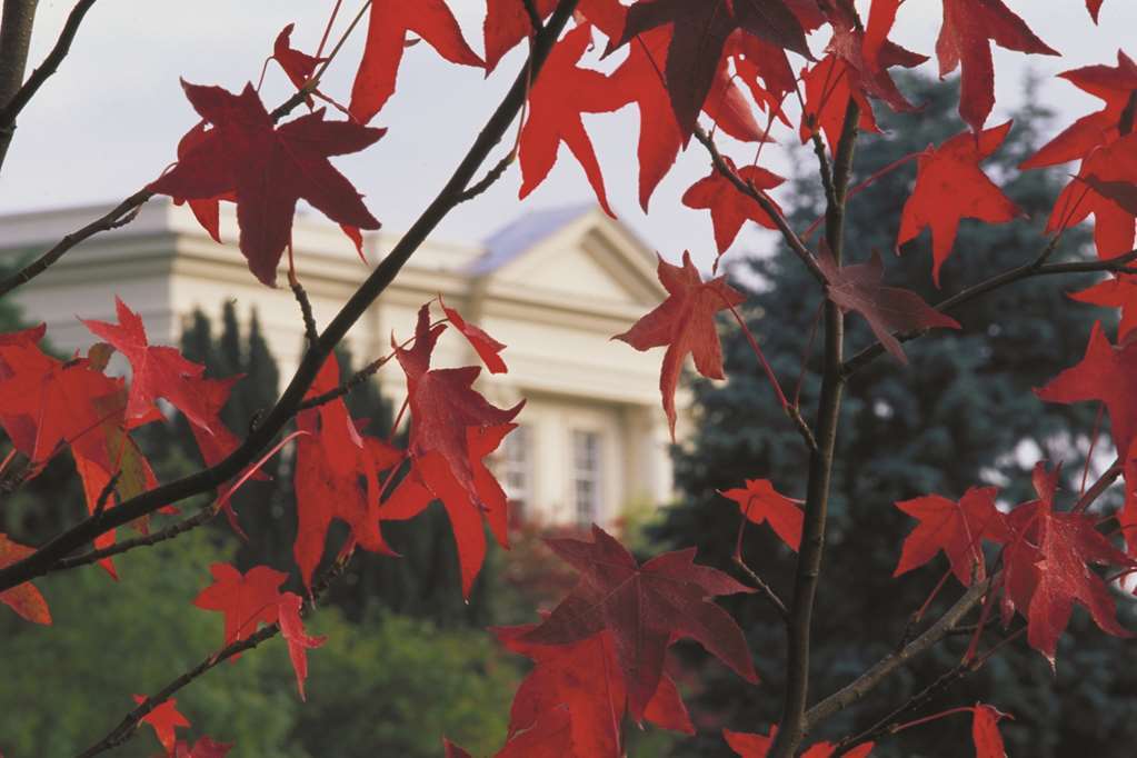 Sunningdale Park Hotell Ascot  Eksteriør bilde