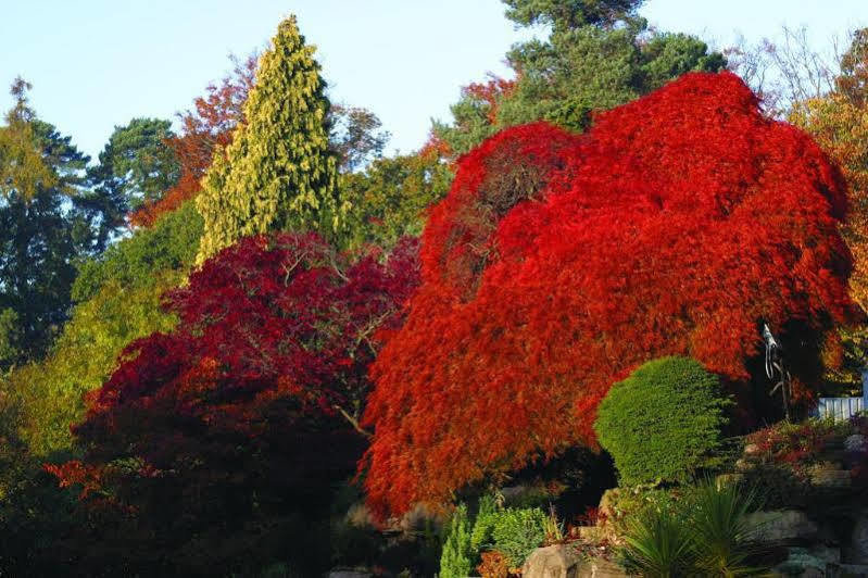 Sunningdale Park Hotell Ascot  Eksteriør bilde